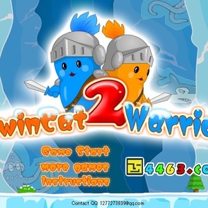Play Twin Cat Warrior 2