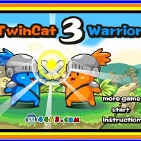 Play Twin Cat Warrior 3
